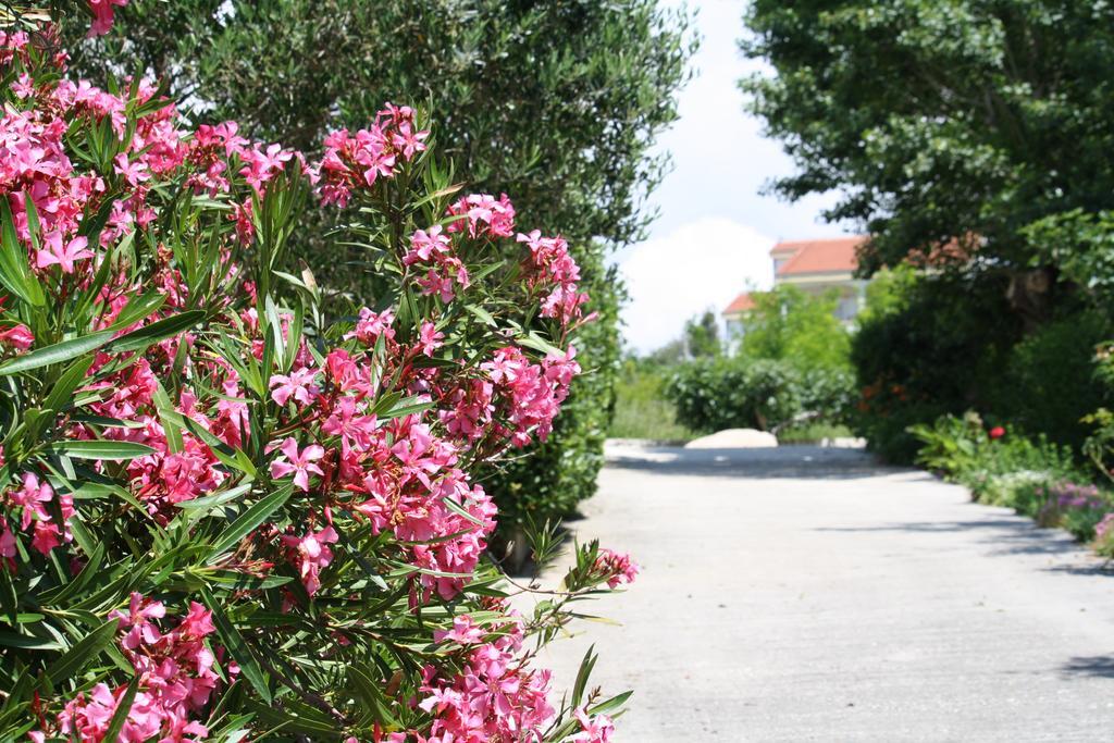 Vila Stosic Ražanac Εξωτερικό φωτογραφία