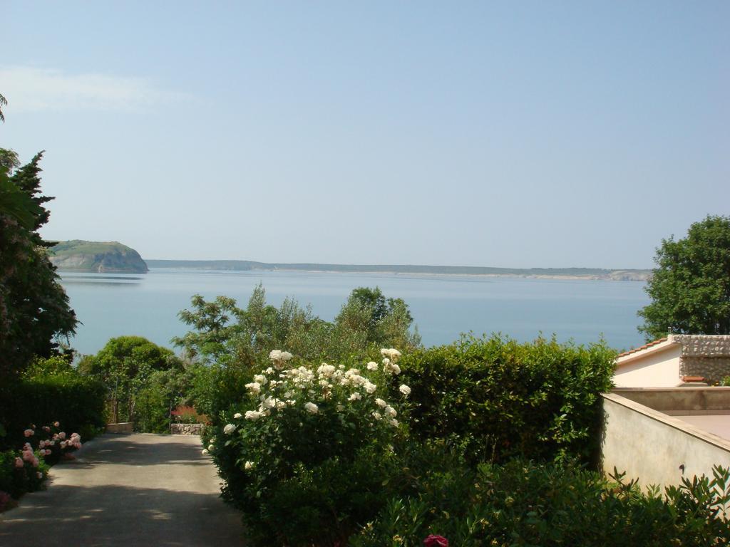 Vila Stosic Ražanac Εξωτερικό φωτογραφία